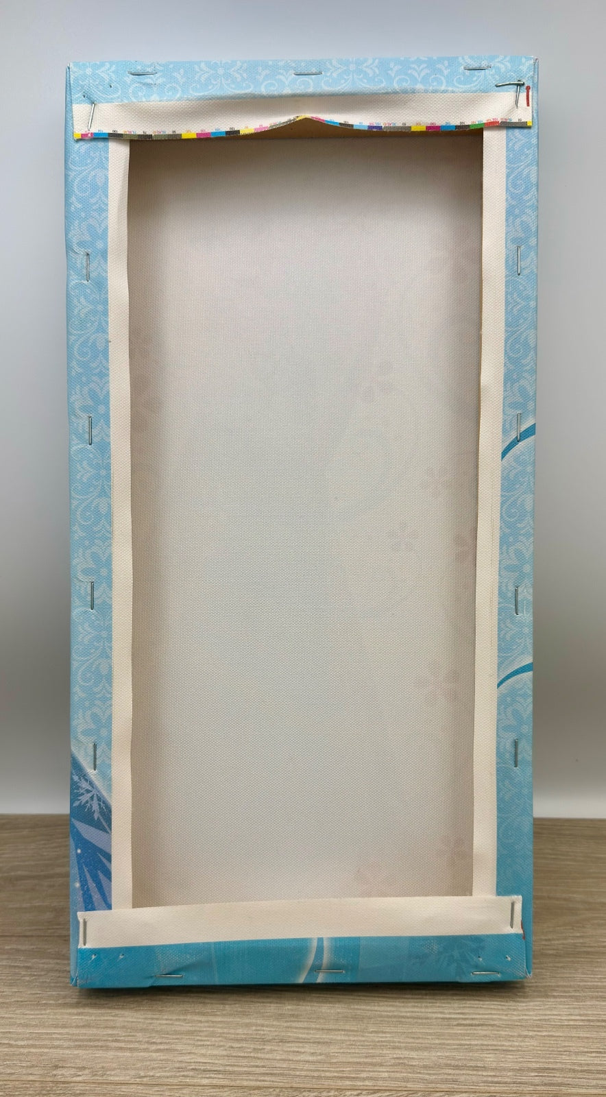 Disney Frozen Elsa Gallery Direct Canvas Wall Art 8x16